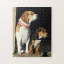 Recherche de petites soeurs Chien
