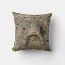Search for common toad home living Toads