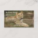 Recherche de lion de cartes visite Prédateur