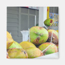 Search for coconuts magnets Tropics