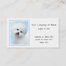 Recherche de bichons cartes visite Chiot