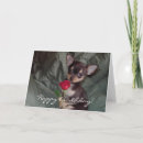 Search for chihuahua birthday cards Pups