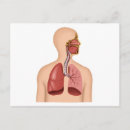 Recherche de interne anatomie posters Bouche