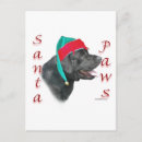 Search for black lab christmas cards Dog