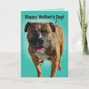 Recherche de dog mothers day cards Drôle