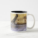 Recherche de le cap tasses Océan