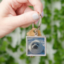 Search for baby seal keychains Cute
