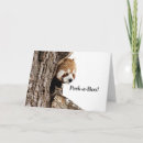 Search for red panda cards Cute