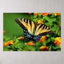 Search for swallowtail art Nature