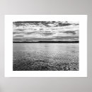 Search for otter photography Sea