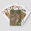 Search for squirrel playing cards Animals