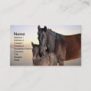 Recherche de jument cheval cartes visite Équestre