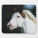 Search for medicine the electronics Equestrian