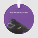 Recherche de à ailes rouges Oiseaux