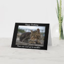 Search for tabby cat birthday cards Grey