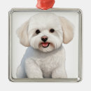 Recherche de frise bichon ornements Mignon