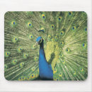Search for tail feather mousepads Green