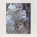 Recherche de lynx puzzles Hiver