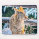 Search for coyote electronics Animal lovers