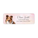 Search for shetland sheepdog return address labels Cute