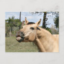 Recherche de discussion cartes postales Parler