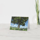 Search for white clouds cards Landscape