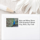 Search for bird feather return address labels Colourful