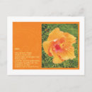 Recherche de south america cartes postales Colombia