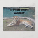 Search for busch postcards Gardens