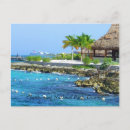Search for cozumel postcards Vacation