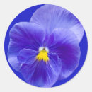 Search for pansy flower stickers Flora