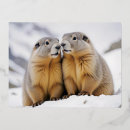 Search for marmot postcards Winter