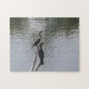 Search for loon puzzles Nature