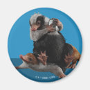 Search for secrets magnets Secrets of dumbledore