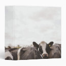 Search for herd binders Nature