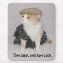 Search for fold electronics Cat