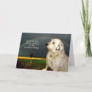 Search for rainbow bridge poem postcards Loss