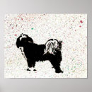 Search for tibetan terrier posters Dog