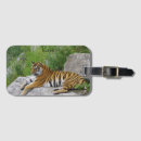 Search for tiger luggage tags Wild