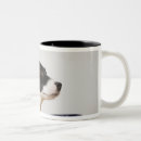 Recherche de chaise tasses Table