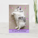 Recherche de felines toutes vœux cartes Animal