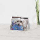 Search for funny sixtieth birthday cards 60th