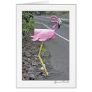 Search for stocking legs postcards Bird