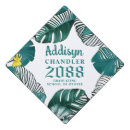 Search for monstera plant accessories Plants