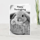 Search for adult thanksgiving cards Photography