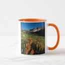 Search for uinta mugs Cache