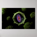Recherche de biochemistry posters Science