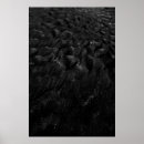 Search for soiled posters Pattern