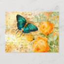 Search for vintage butterfly postcards Antique
