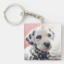 Search for funny valentines day keychains Cute animal